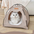 Cat Accessories