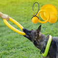 Pet Supplies