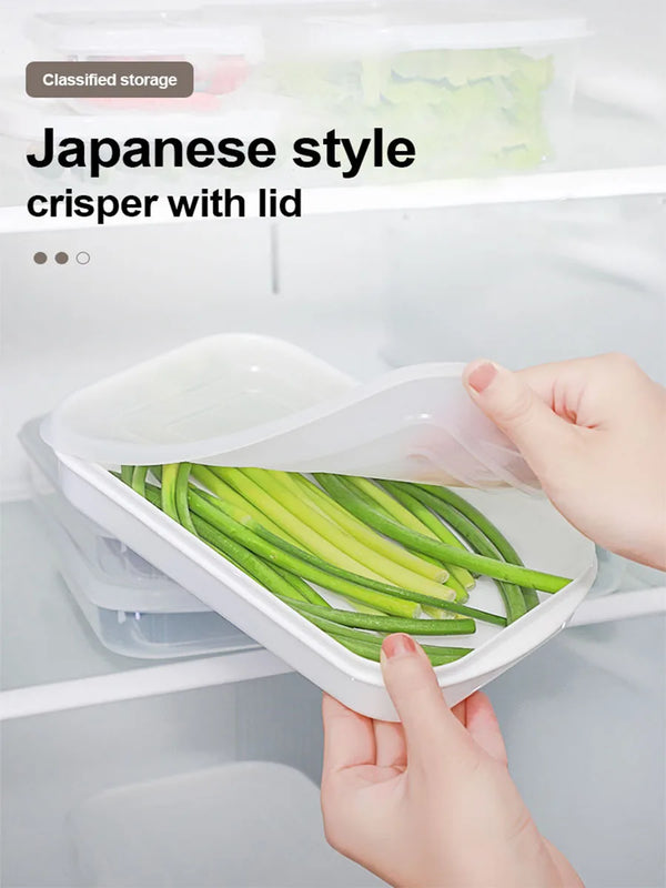 Kitchen Food Sealed Containers Fresh Fruit Vegetables Steak Meat Storage Box