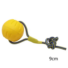 Dog Toy Bite Resistant Circular Frisbee Pet Toy | Outdoor Dog Training Rope