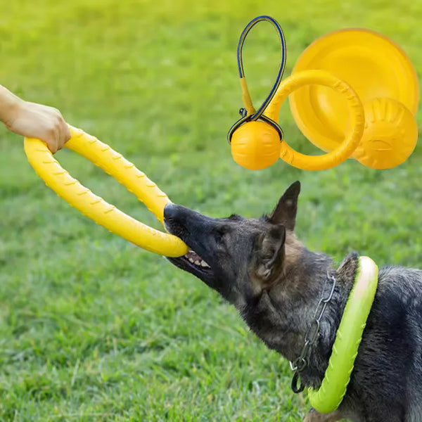 Dog Toy Bite Resistant Circular Frisbee Pet Toy | Outdoor Dog Training Rope