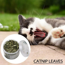 Natural Catnip Organic Premium Catmints Cat Toy Cataria For Eliminating Cats Hairballs