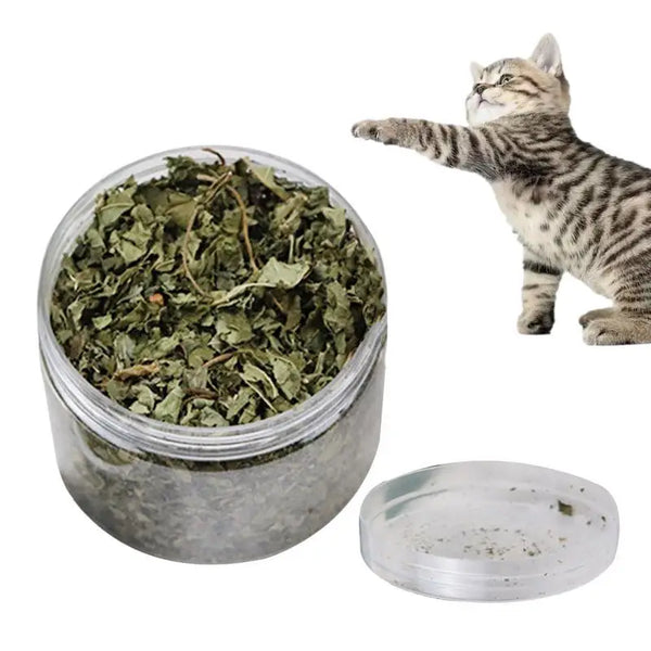 Natural Catnip Organic Premium Catmints Cat Toy Cataria For Eliminating Cats Hairballs