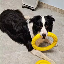 Dog Toy Bite Resistant Circular Frisbee Pet Toy | Outdoor Dog Training Rope