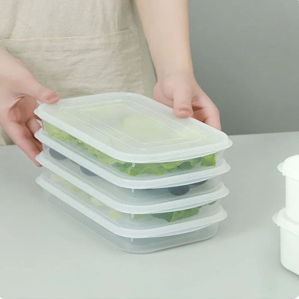 Kitchen Food Sealed Containers Fresh Fruit Vegetables Steak Meat Storage Box