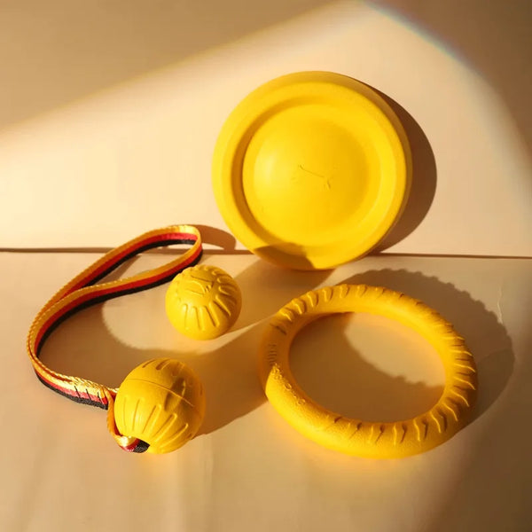 Dog Toy Bite Resistant Circular Frisbee Pet Toy | Outdoor Dog Training Rope