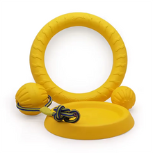 Dog Toy Bite Resistant Circular Frisbee Pet Toy | Outdoor Dog Training Rope