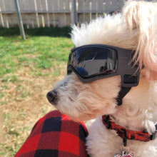 Pet Accessories Dog Outdoor UV Protection Sunglasses Cat Dog