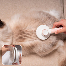 Cat Hair Cleaner | Self Cleaning Brush Pet Comb Plastic